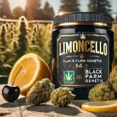 Limoncello