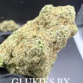 Glukies BX