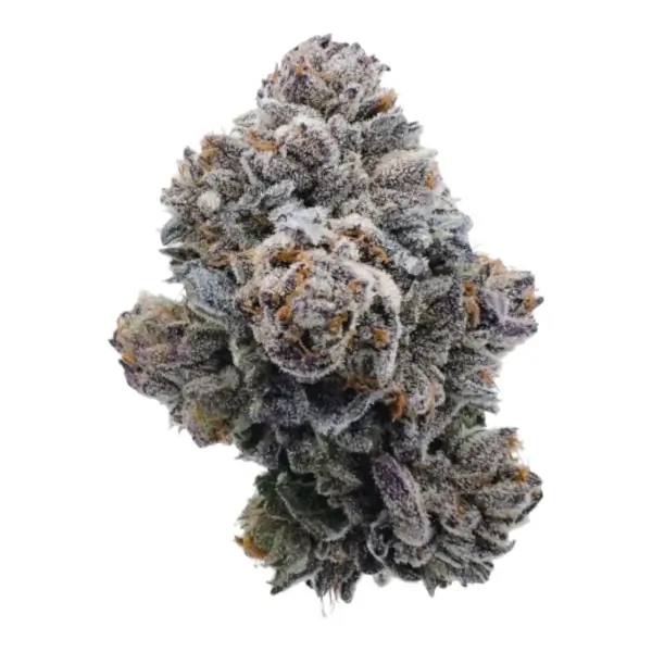 Pink Glitterbomb
