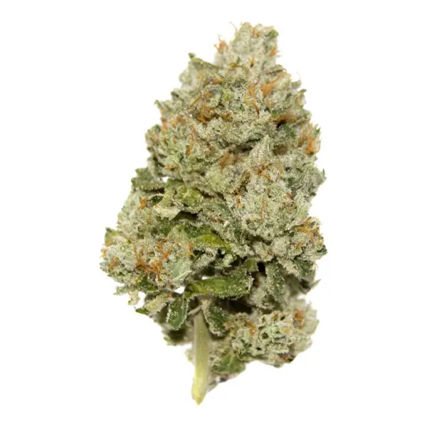 Lemon Zkittlez Auto