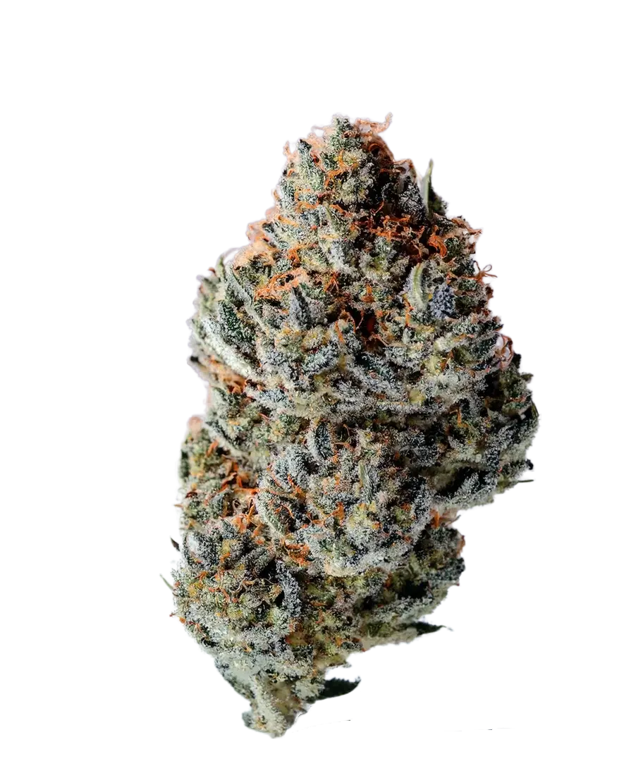 Toad Poison Auto