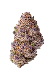 Unicorn Wagyu Autoflower