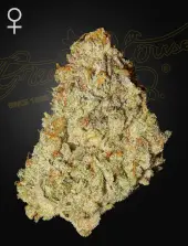 Super Banana Mango
