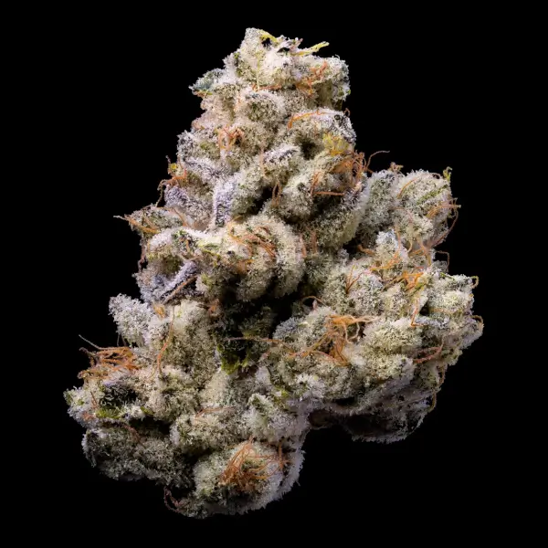 Orange Cake - Lemonnade Seeds