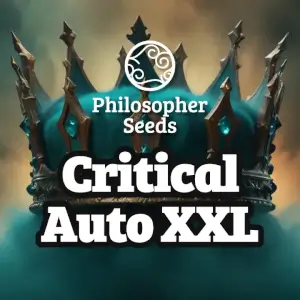Critical Auto XXL de Philosopher Seeds