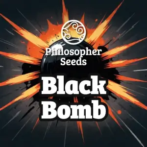 Black Bomb -