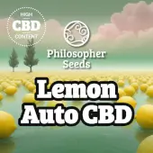 Lemon Auto CBD