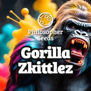 Gorilla Zkittlez