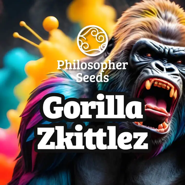 Gorilla Zkittlez