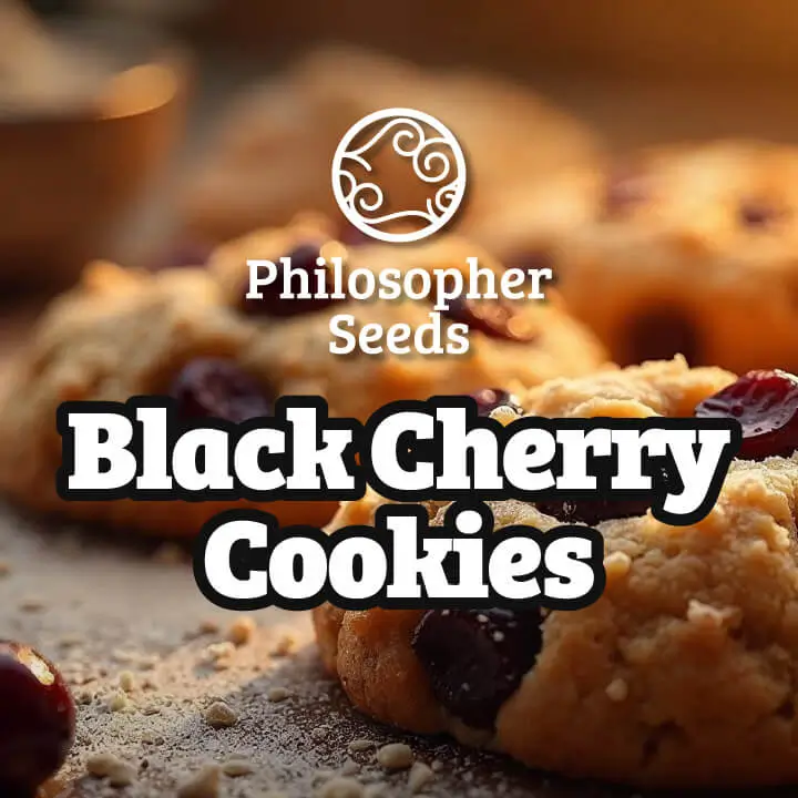 Black Cherry Cookies