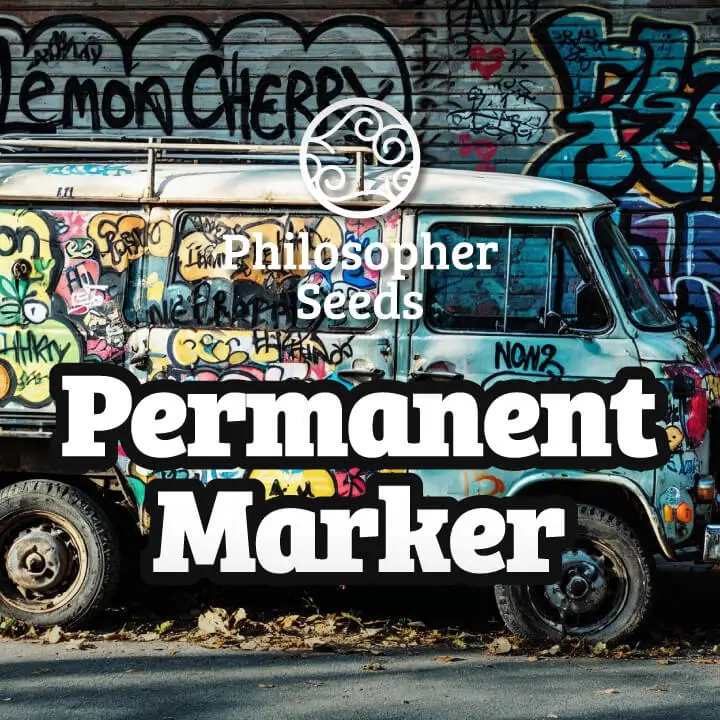 Permanent Maker