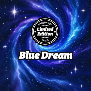 Blue Dream