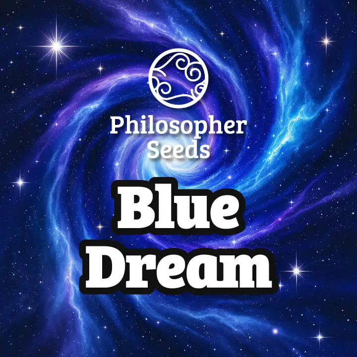 Blue Dream