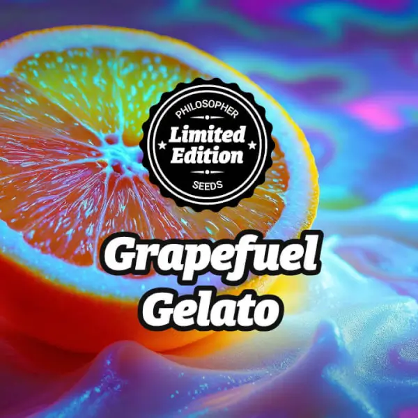 Grapefuel Gelato