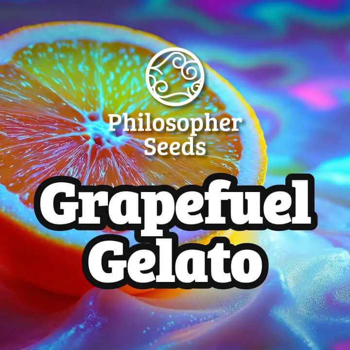 Grapefuel Gelato