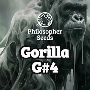Gorilla G#4