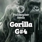 Gorilla G#4