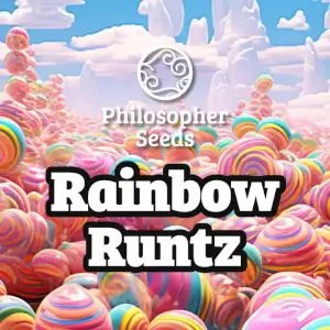 Philosopher Seeds Promo Rainbow Runtz