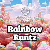 Philosopher Seeds Promo Rainbow Runtz