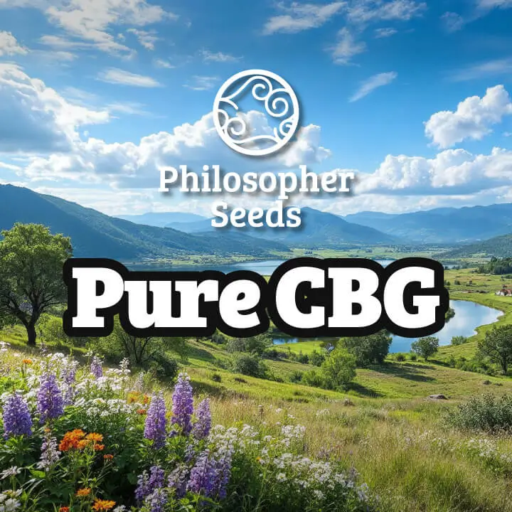 Pure CBG
