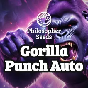Gorilla Punch Auto