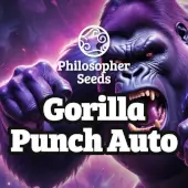 Gorilla Punch Auto