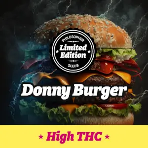 Donny Burger (GMO)