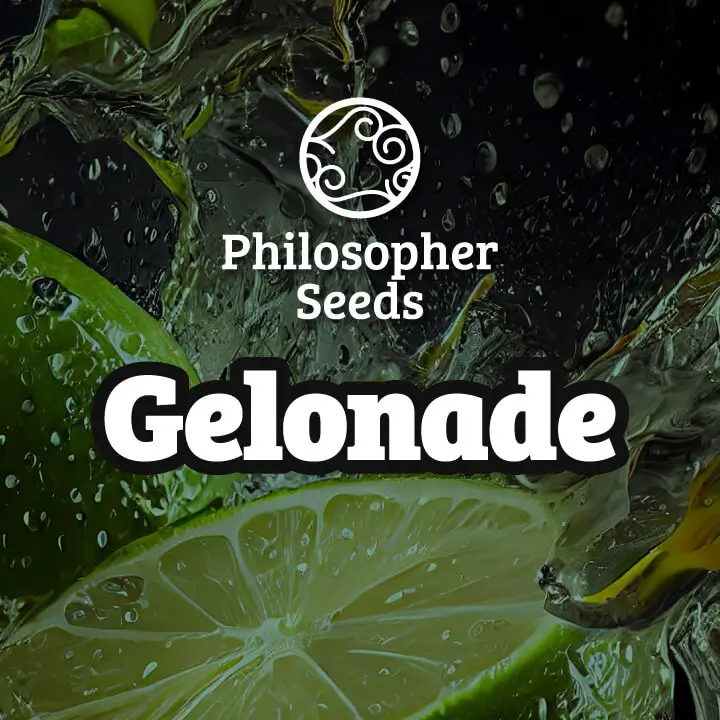Gelonade