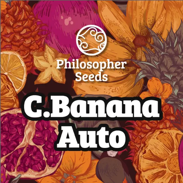 C.Banana Auto