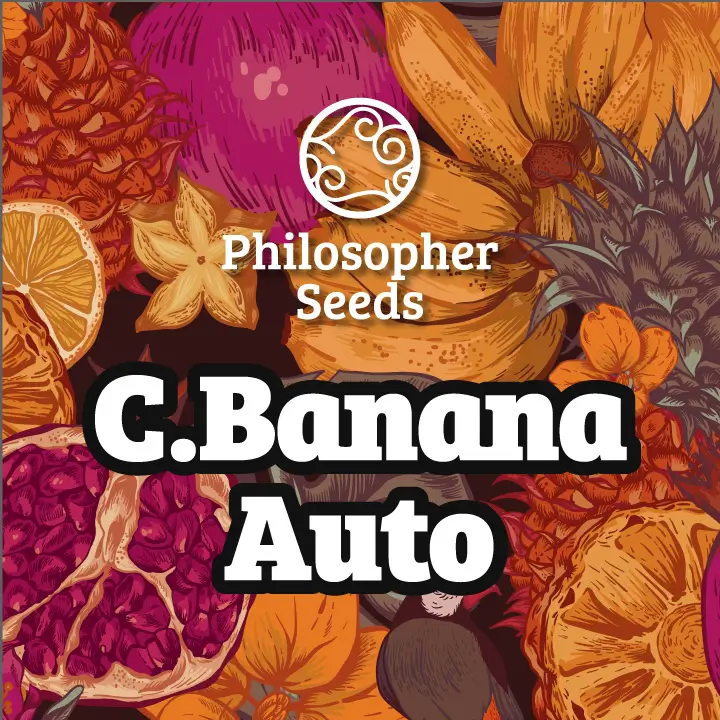 Chiquita Banana Auto