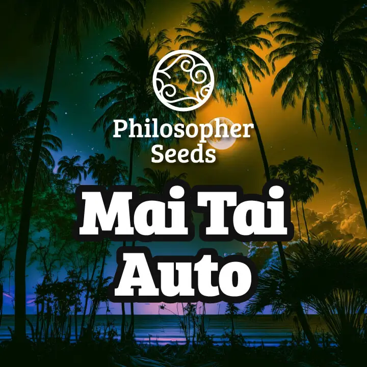 Mai Tai Auto