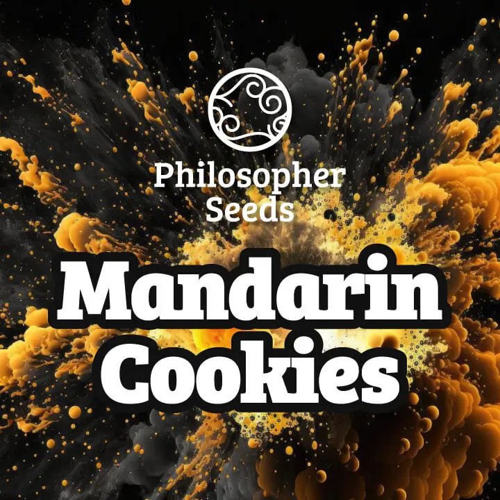Mandarin Cookies: bank product photo, credit alchimiaweb.com, copyright status shown with credit copyright unverified