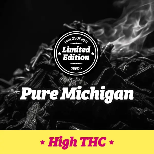 Pure Michigan