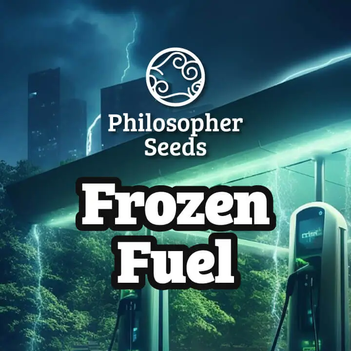 Frozen Fuel