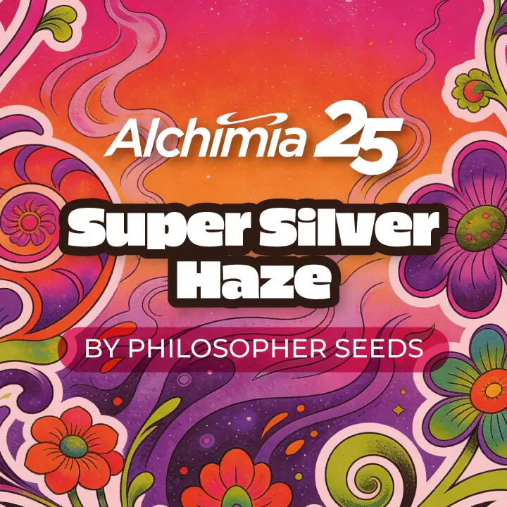 Super Silver Haze