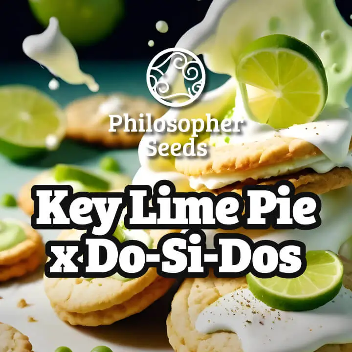 Key Lime Pie X Do-Si-Dos