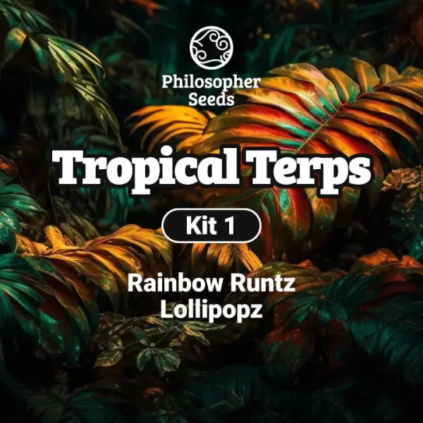 Kit Tropical Terps