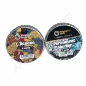 Kit USA Legends Fem