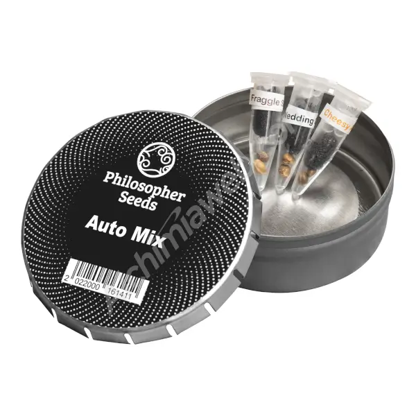 Auto Mix