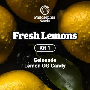 Fresh Lemons Kit