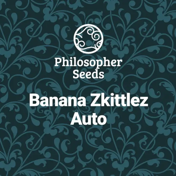 Banana Zkittlez Auto