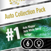 Auto Collection Pack #1