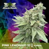 Pink LemonAid S1