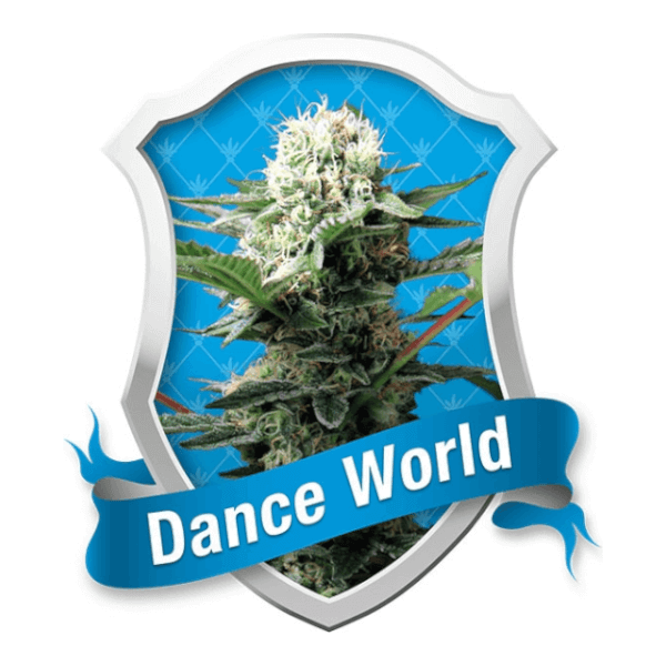 Dance World