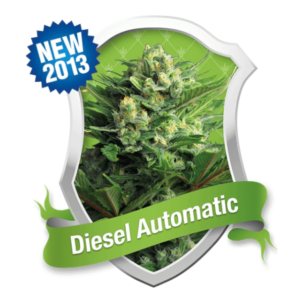 Diesel Automatic