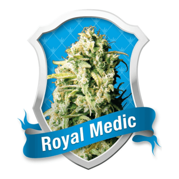 Royal Medic