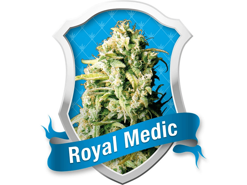 Royal Medic CBD