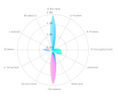 Epsilon F1 Auto