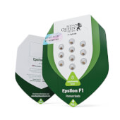 Epsilon F1 Auto