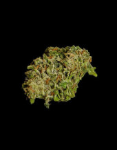 Hyperion F1 Auto